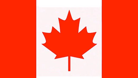 USA Flag